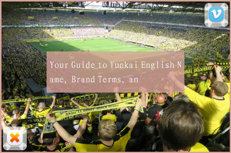 Your Guide to Yunkai English Name, Brand Terms, an